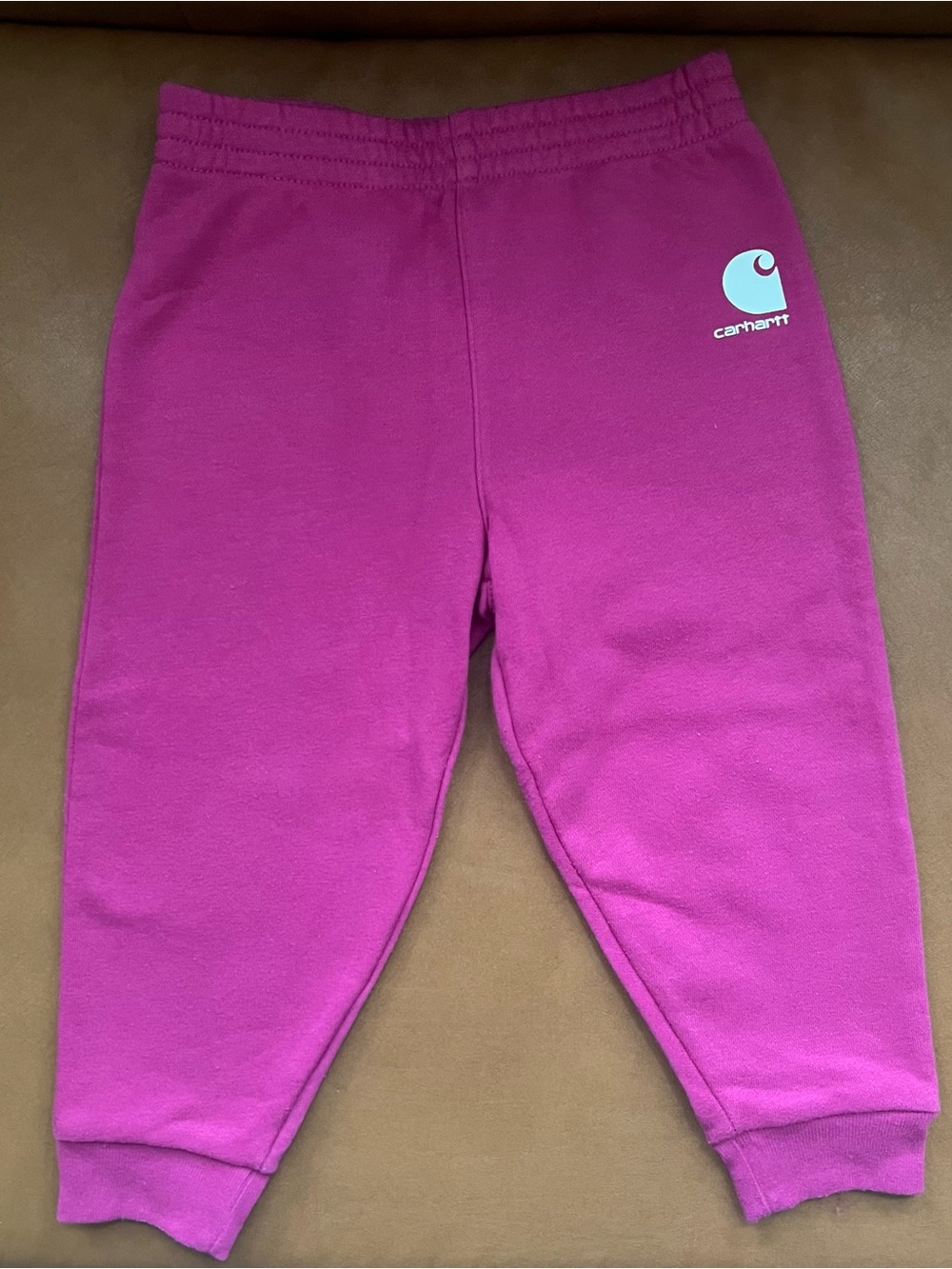 Carhartt Baby Girls 24 Months Elastic Waistband Logo Sweatpants Joggers Fushia